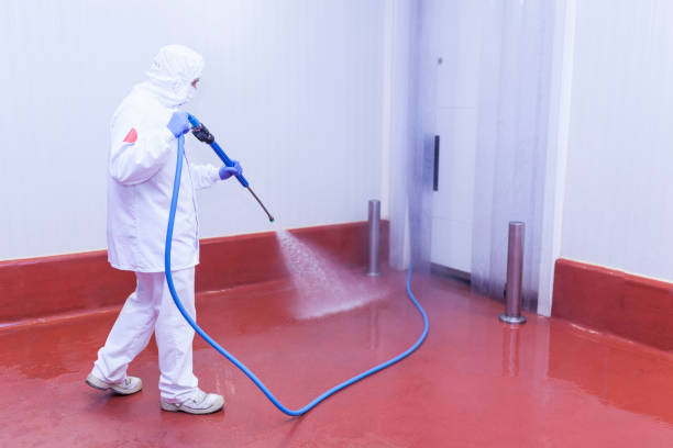 Best Paint Preparation  in Stacy, MN